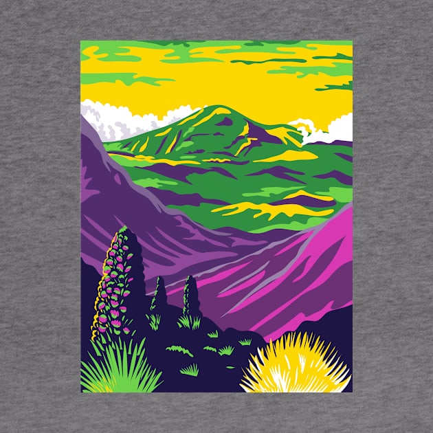 Haleakala National Park and Haleakala Volcano in Maui Hawaii United States WPA Poster Art Color by patrimonio